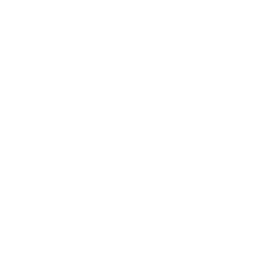 euro